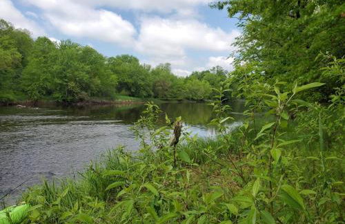 Wilderness Meadows - Foto 12