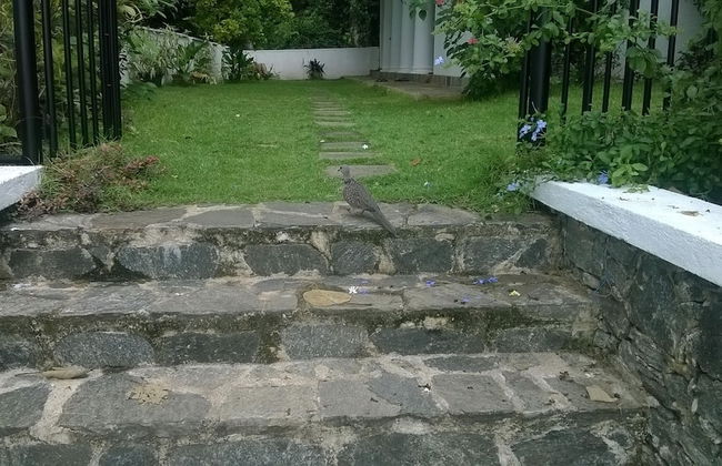 Kandy Holiday Residence - Foto 42