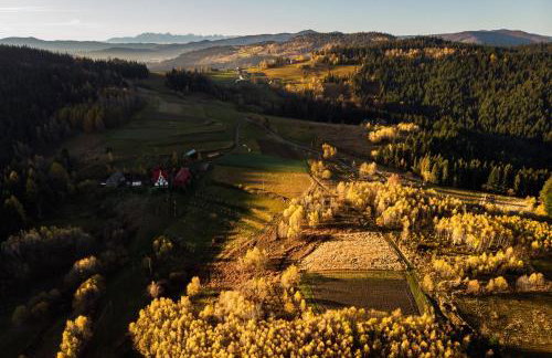 Apartamenty Black Lion - Foto 46