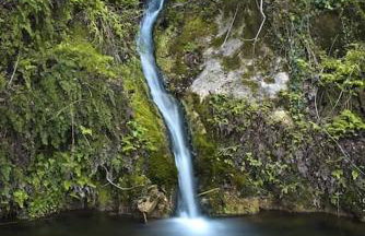 Αρχοντικό FoRRest - Foto 27