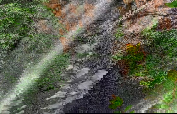 Lilac Hideaway - Foto 14