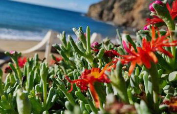 Mandel 2 Residence by Mandel club - Foto 49