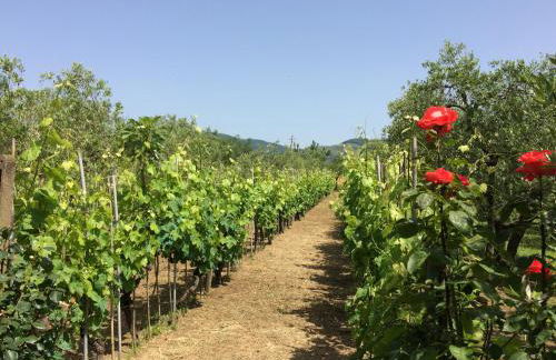 La casa dei nonni - Foto 37