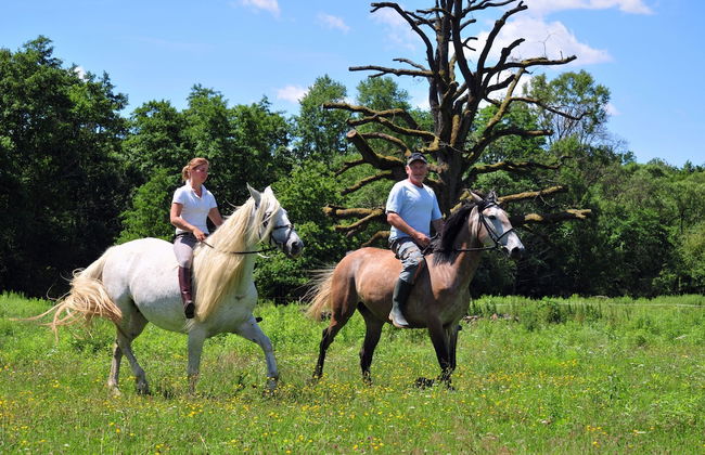 Kerca Bio Farm - Photo 47