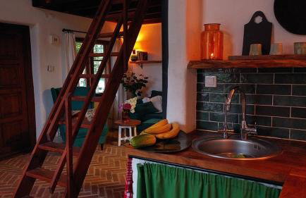 Siedlisko MiłoBrzózka - Photo 32