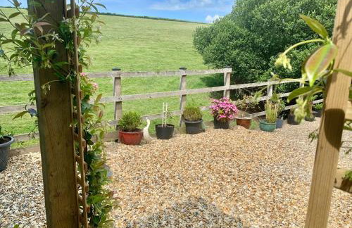 Little Bo Peep - Foto 12