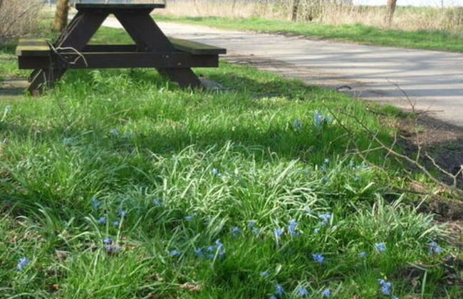 Holiday House by the Lake - Foto 12