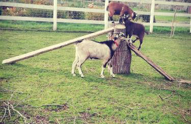 Babie Lato - Foto 28