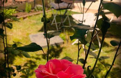 "Ninho de Amor" troglodyte unique - Foto 26