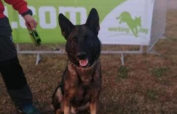 Pace, Luminosità e Comodità a due passi dal Garda - Foto 33