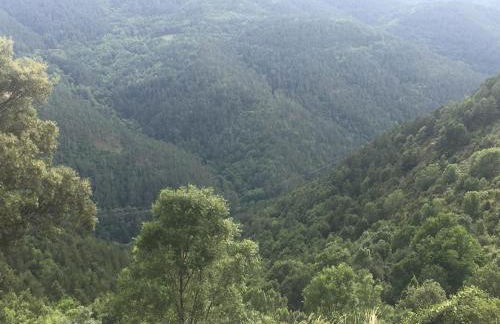 Precioso apartamento con vistas montaña o rio - Foto 48