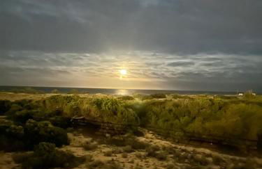 Bungalow Carabassi Mediterraneo 3 Pool and roof terrace - Foto 12