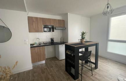 Appartement Cosy et chaleureux proche des grandes entreprises Toulousaine - Photo 58