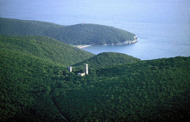 Agriturismo La pulledraia - Foto 20