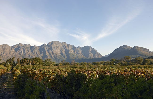 La Clé Village - Foto 76