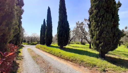 Il Palagio - Foto 1, Garden