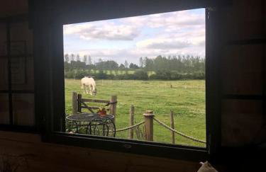 Secret & Secluded Sedlescombe - Foto 14