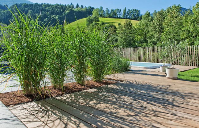 Holiday Apartment Hohe Stein - Foto 30