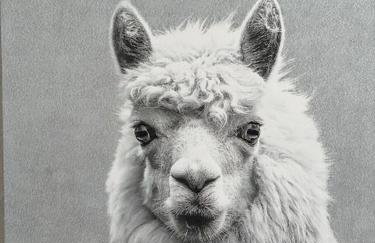 Ferienwohnung Eulennest - Foto 16