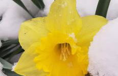 Ferienwohnung Fichtelgebirge - Foto 35