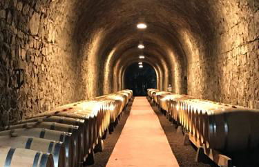 L'EFFERVESCENT - Saint-Peray - Foto 36