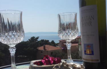 Apartments Stakic - Foto 27