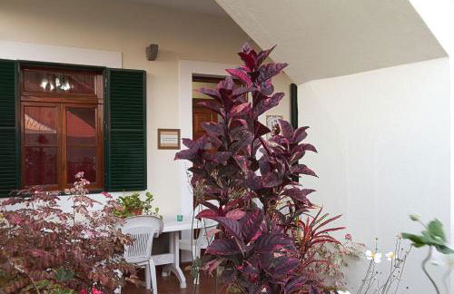 Casa Alto Santo António - Foto 18