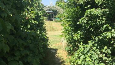 Off grid chalet . HOT TUB & SAUNA. Kid friendly. - Foto 5