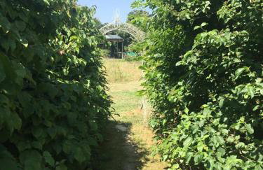 Off grid chalet . HOT TUB & SAUNA. Kid friendly. - Photo 5