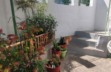 Trikeri traditional cozy house - Photo 29