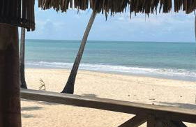 Eco Paradise 110 - Cumbuco - Photo 17