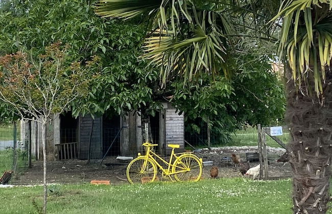 Le Relais de la Chouette Gîte - Photo 33