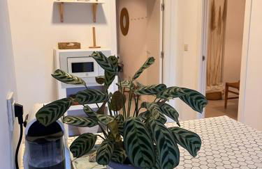 Los Lances Tarifa - Piscina y patio - Photo 11