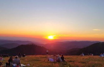 Ferienwohnungen Höflehof - Foto 8