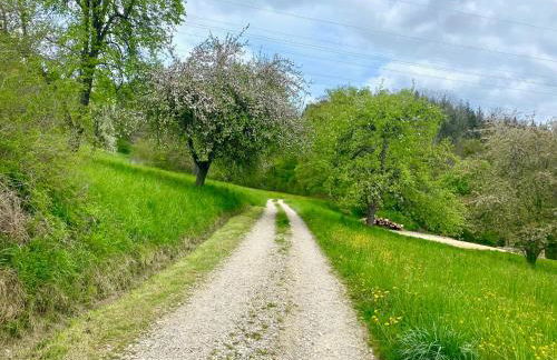 Ferienwohnung Schwalbennest - Photo 14