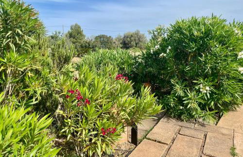 Finca Can Alba - Photo 18