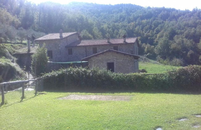 Le Chianine dei Tognoli - Foto 18