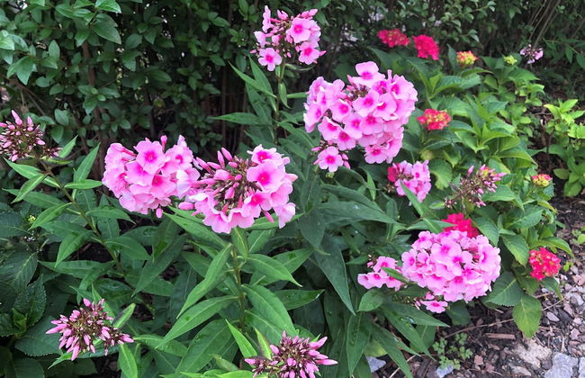 Apartment on the Elbe Ferry - Apartment for 2 - 3 People - Photo 34