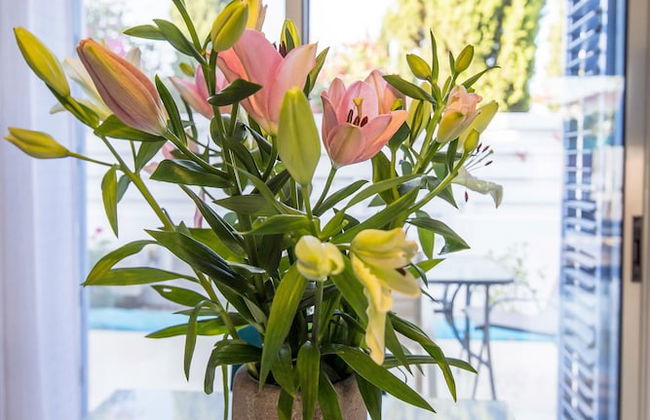 Nirvana Seaside Villa - Foto 13