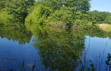 Ferienhaus Möwe - Foto 28