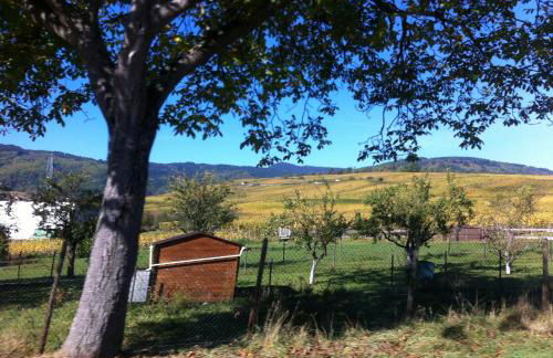 Apartment Cali Elina - Foto 22