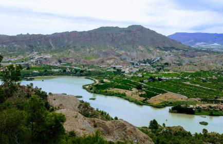 La Joya del Valle de Ricote - Foto 50