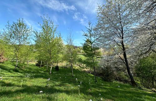 Bąbelkowa Chata Beskidy Domek z Balią Jacuzzi - Foto 31