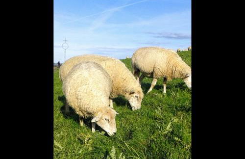 Ferienwohnung Regina an der Nordsee No 5 - Foto 13