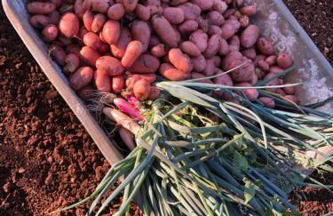 I PapaTrulli MiniResort - Foto 65