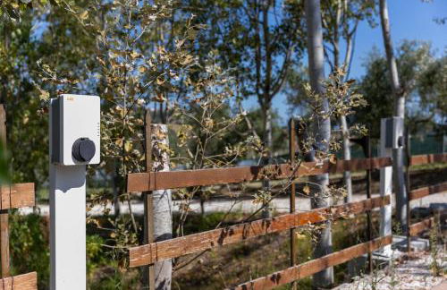 Bio Fattoria Mula D'Oro - biofattoriamuladoro it - Organic Food, Nature & Relax - Foto 24