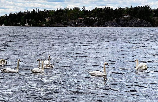 4 Person Holiday Home in Varmdo-by Traum - Photo 8