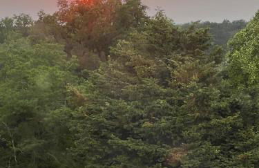 Appartement dans Château exceptionnel - Foto 15