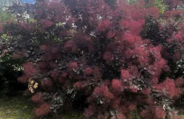 Douceur d'argile - Foto 19