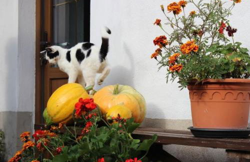 Holiday Home Christine by Interhome - Photo 2